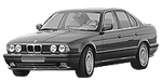 BMW E34 DF309 Fault Code