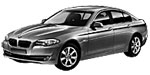 BMW F10 DF309 Fault Code