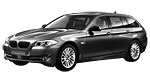 BMW F11 DF309 Fault Code
